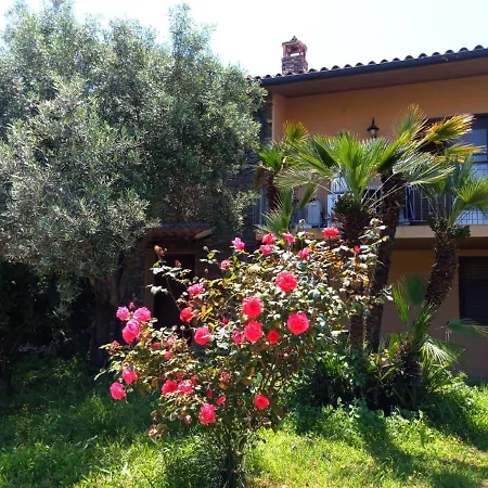 Viliam Bed & Breakfast Olbia